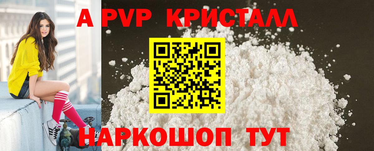Альфа ПВП СК Чайковский