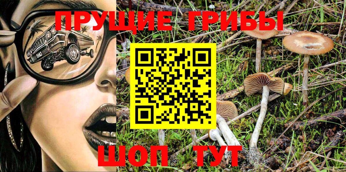 Галлюциногенные грибы Psilocybine cubensis Чайковский